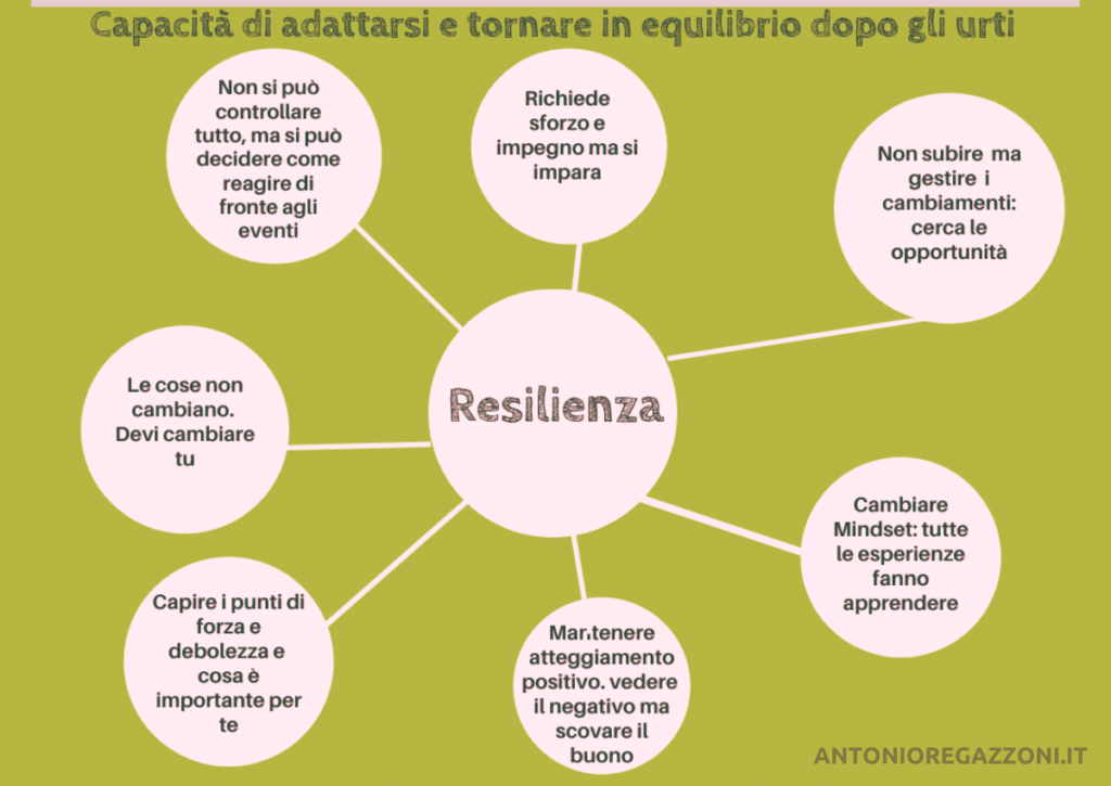 Resilienza per professionisti e non